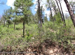 202 Camelot Dr, Ruidoso, NM 88345