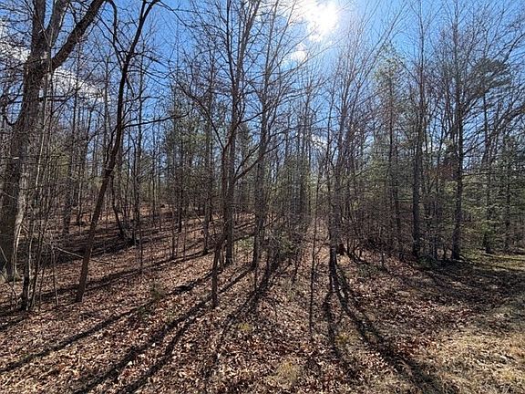 3rd image of LOT 8 Walton Furnace Rd