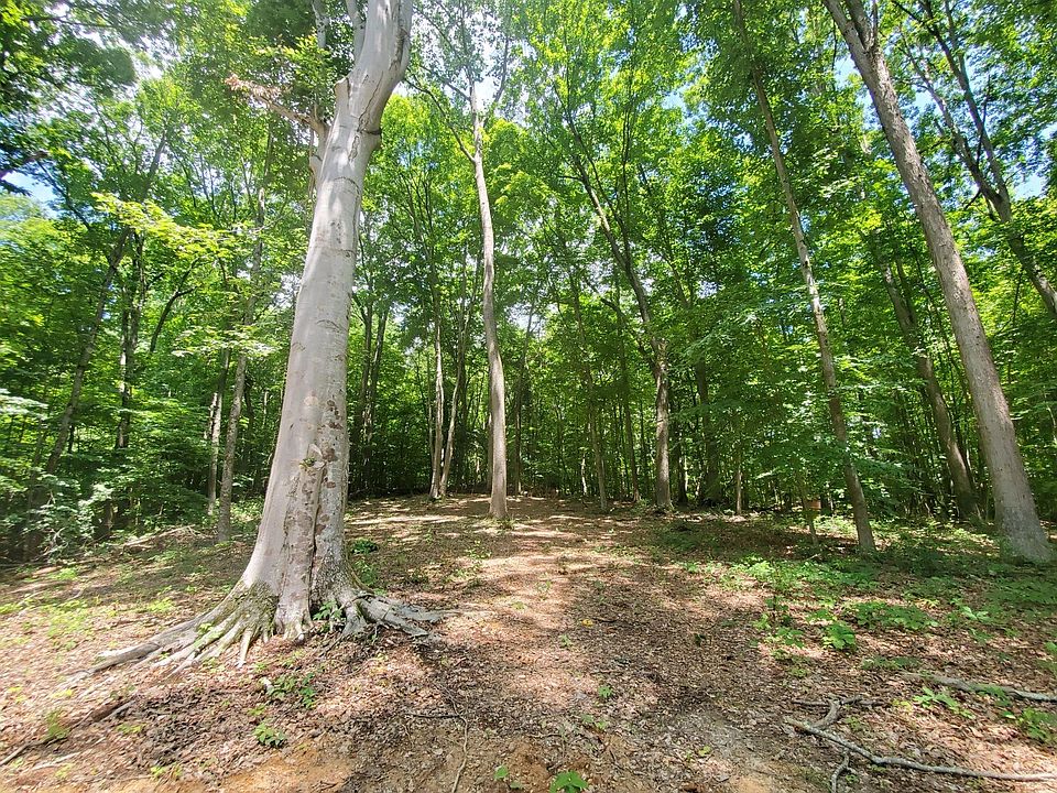 1st image of Creek Dr