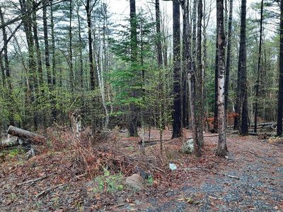 LOT 49 Buttermilk Hill Rd, Wells, NY, 12190