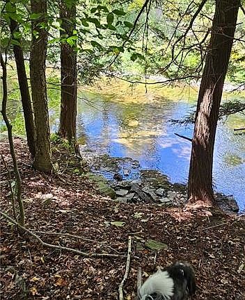 3rd image of 0 Lafayette Rd