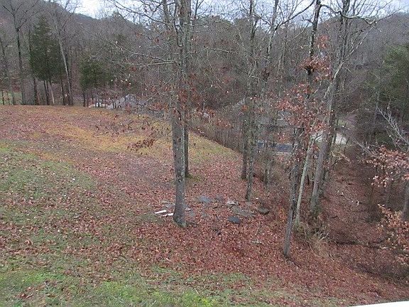 5th image of 104 Holly Dr
