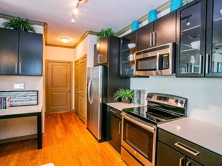 Stainless Steel Appliances