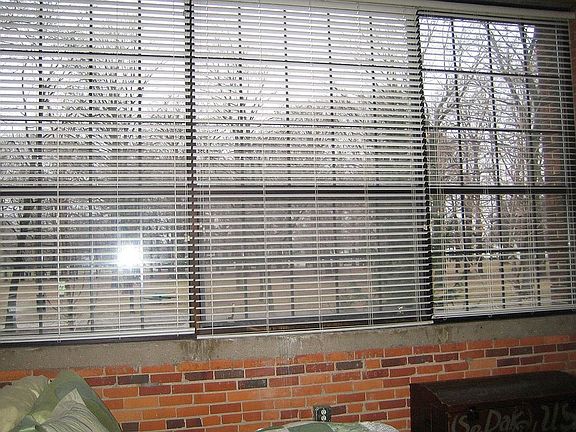 2nd image of 533 Columbia Ave APT 118