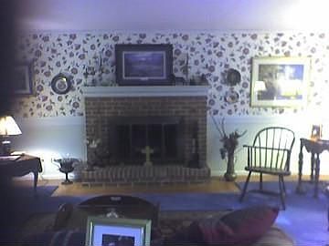4th image of 345 Apple Jack Ln