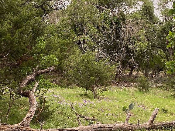 2nd image of 106 Ulmus LOT 56