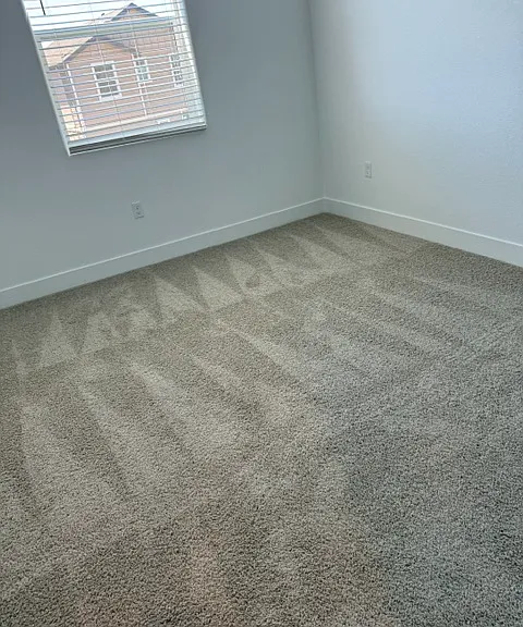 Comfortable and Spacious Bedrooms with plush new carpet and window blinds.