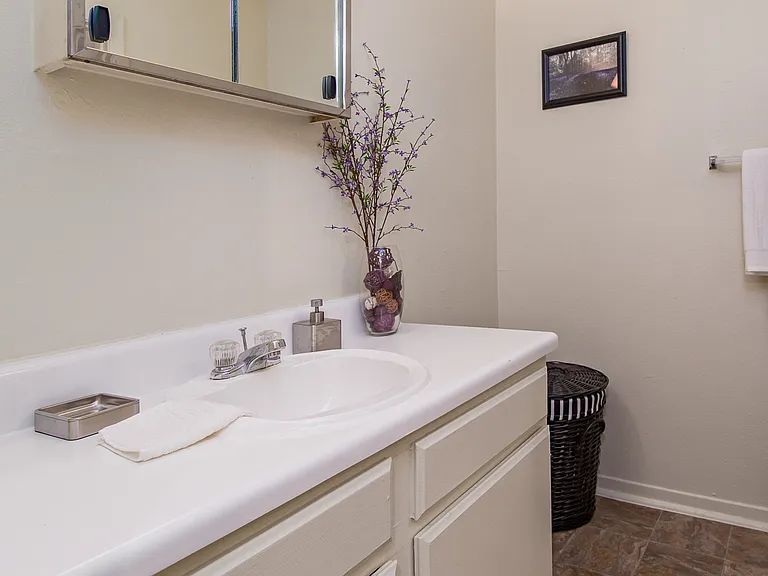 Bathroom Vanity