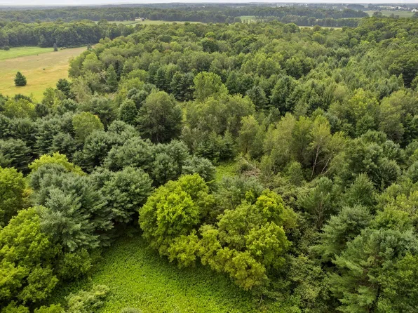 0 Buchanan Rd, Stanwood, MI 49346