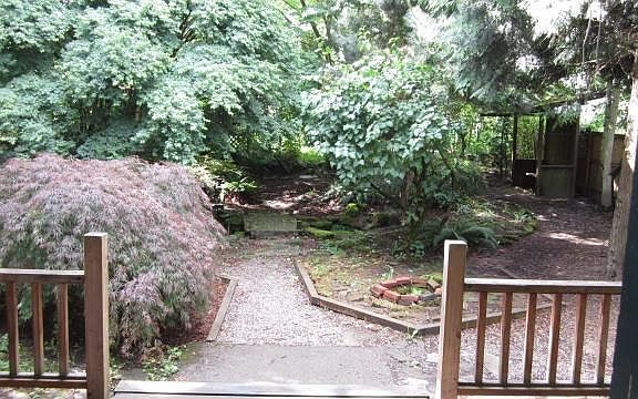 back yard