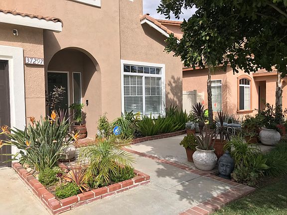 2nd image of 37297 Bunchberry Ln