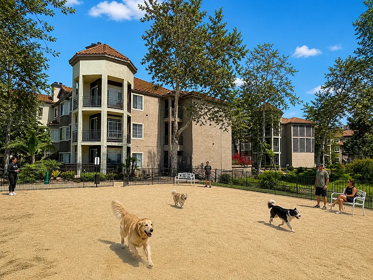 Community Dog Park