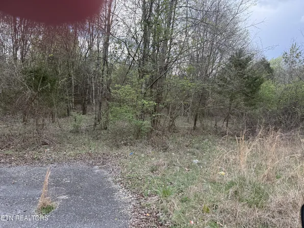 183 Foxwood Dr, Kingston, TN 37763