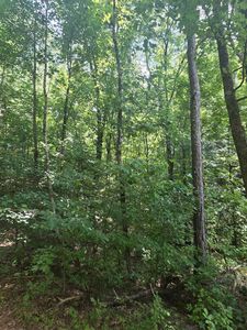 392 Quill Dr NW, Cleveland, TN, 37311