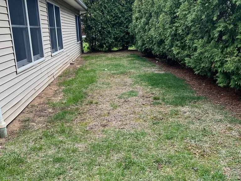 19 - Backyard