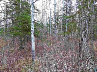 Airport Rd, Pt Wing, WI 54865