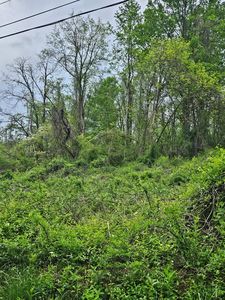 0 Euclid Ave, Marion, VA, 24354