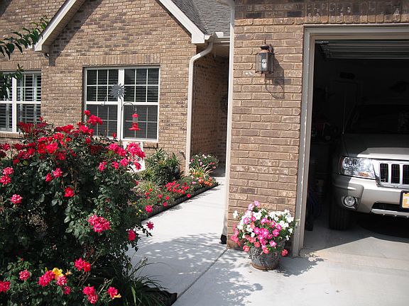 Plenty of sun for flowers