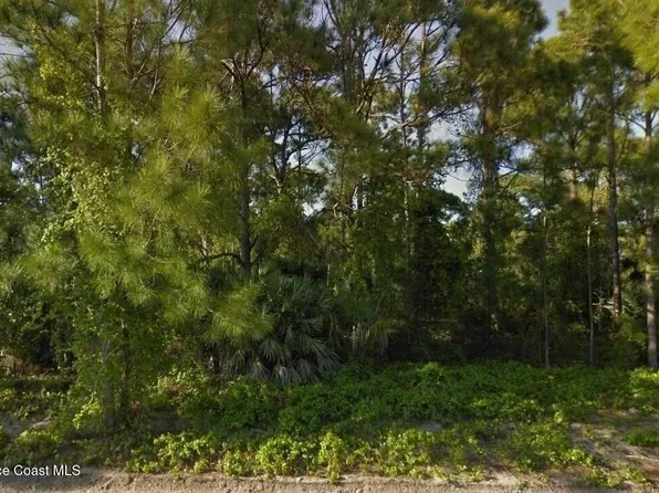 1541 Sarnia St NW, Palm Bay, FL 32907