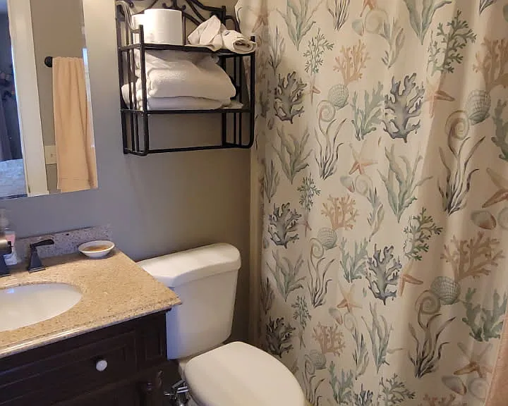 Master bath, tile floors, heated towel rack, upgraded vanity, bidet.