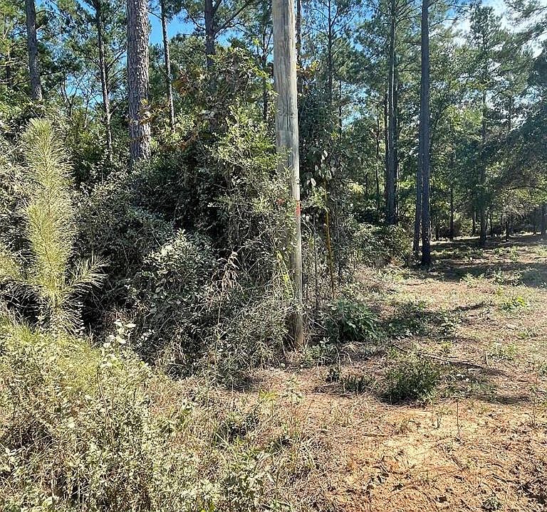 1st image of County Road 546