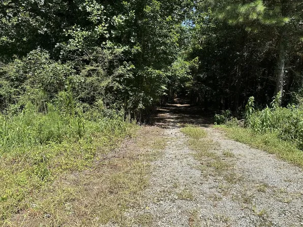 305 Wildcat Rd #167, Buchanan, GA 30113