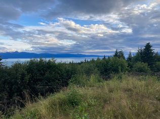 53635 E End Rd, Homer, AK 99603