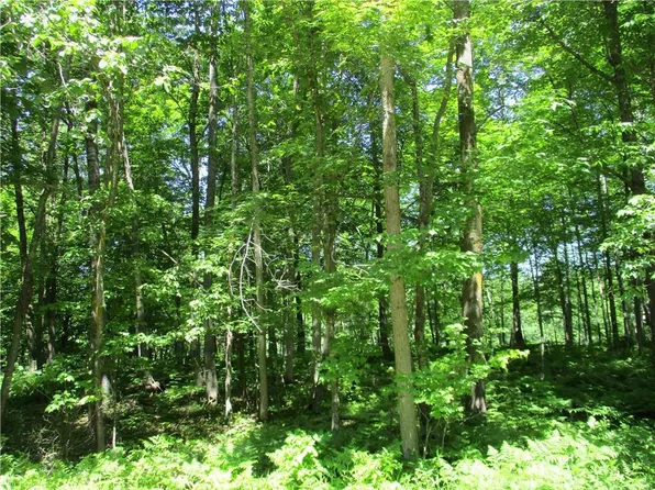 LOT #84 MAPLE Way, Birchwood, WI 54817