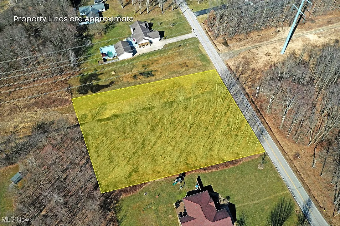 Lyntz Townline Rd SW photo 1
