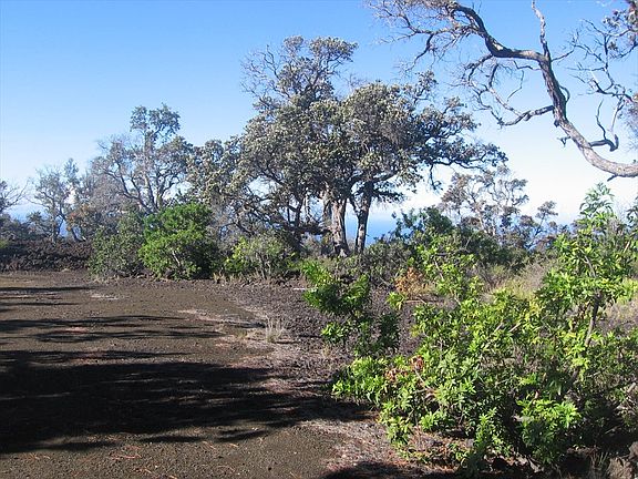 3rd image of Moana Dr Lot 10