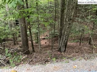 145 Raccoon Road, Beech Mountain, NC 28604