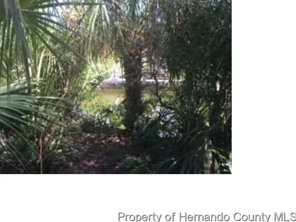 Cedarbrook Ln, Hernando Beach, FL 34607