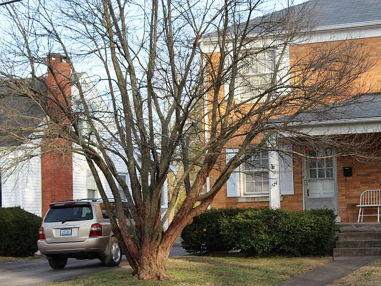 1574 Elizabeth St — Photo 13
