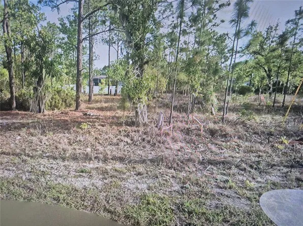 2651 W BRAVURA DRIVE LOT 20, CITRUS SPRINGS, FL 34433