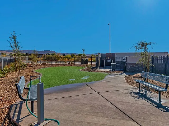 Dog Park