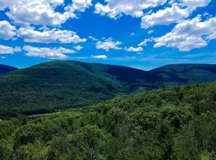 98 Norwegian Rd, Prattsville, NY 12468