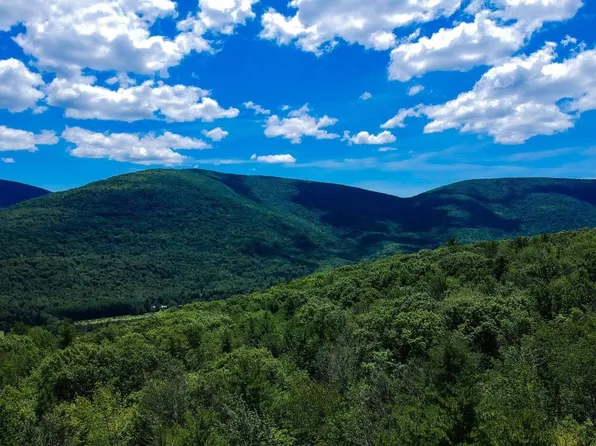 98 Norwegian Rd, Prattsville, NY 12468