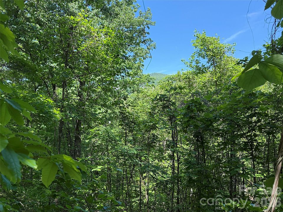 1st image of 0 Buffalo Shoals Rd #1