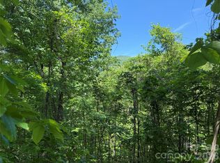 0 Buffalo Shoals Rd #1, Lake Lure, NC 28746
