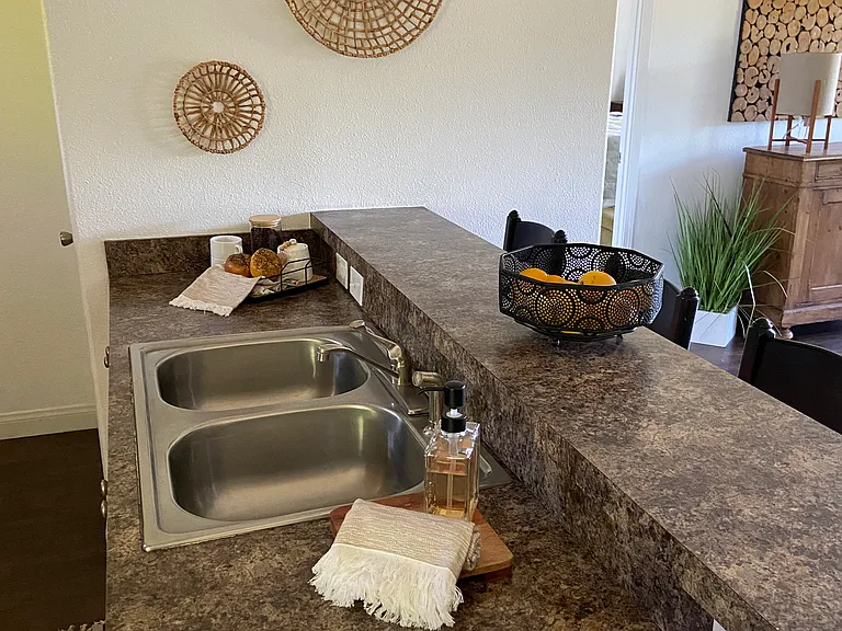Kitchen bar with sink and dishwasher