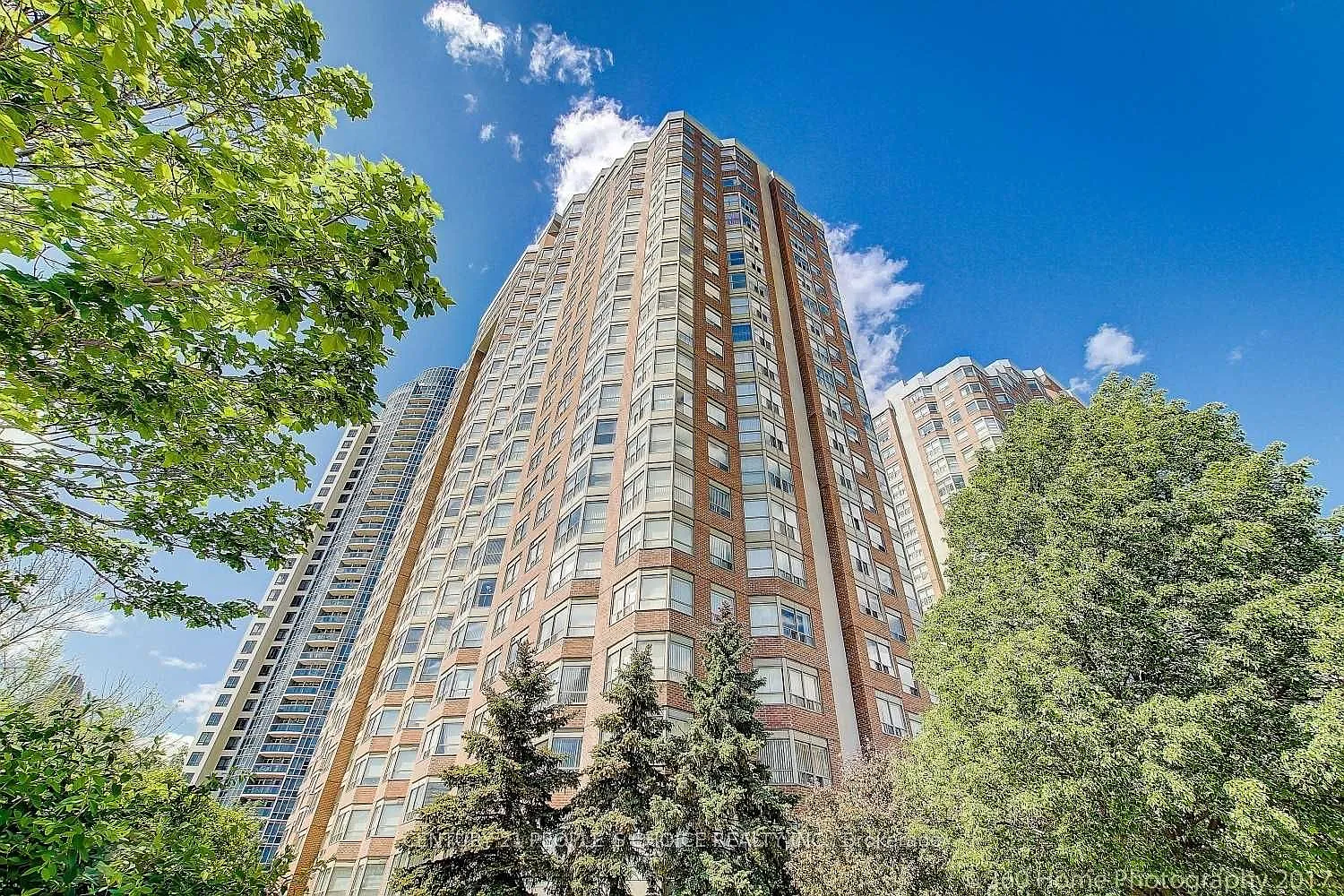 3 bed, $2,900 — Photo 1