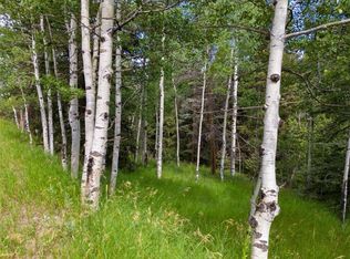 28380 Pine Trail, Conifer, CO 80433