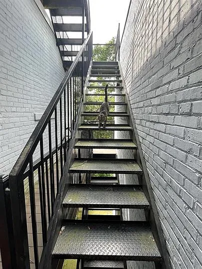 3404 13th St NW #201 — Photo 32