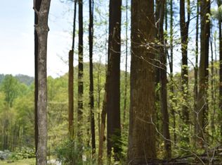 Cabin Rdg, Balsam, NC 28707