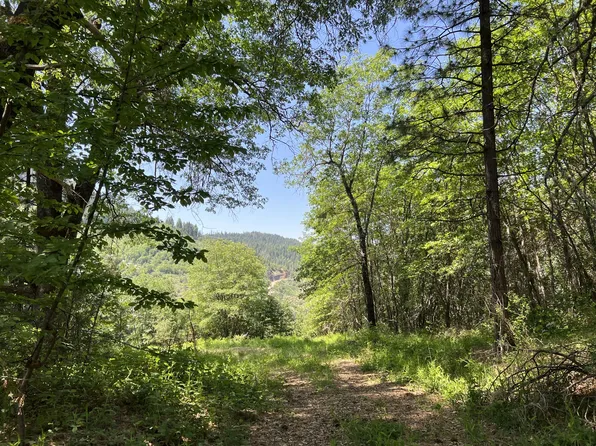 30100 Pit 5 Rd, Big Bend, CA 96011