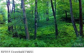 3rd image of 1448 Sullivan Trl