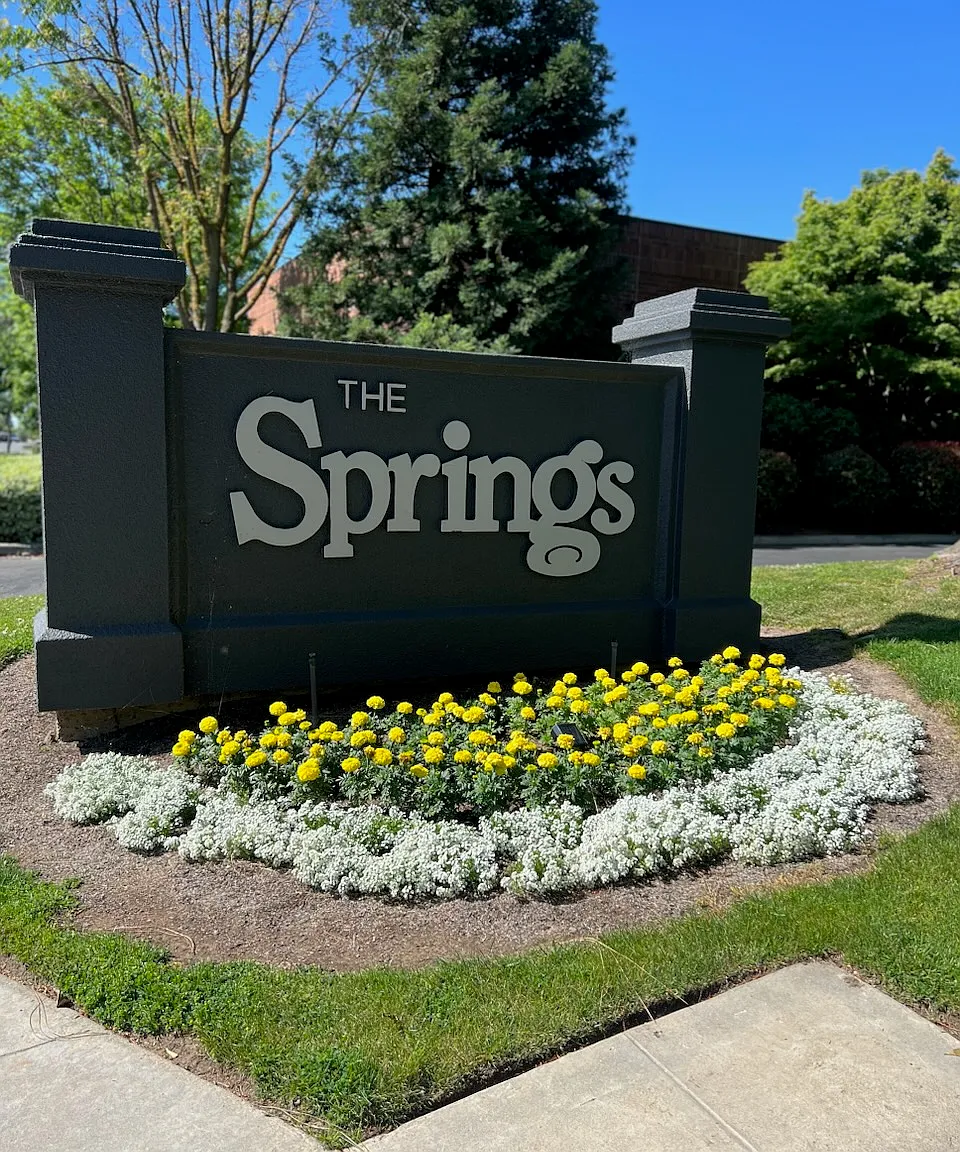 The Springs — Photo 1