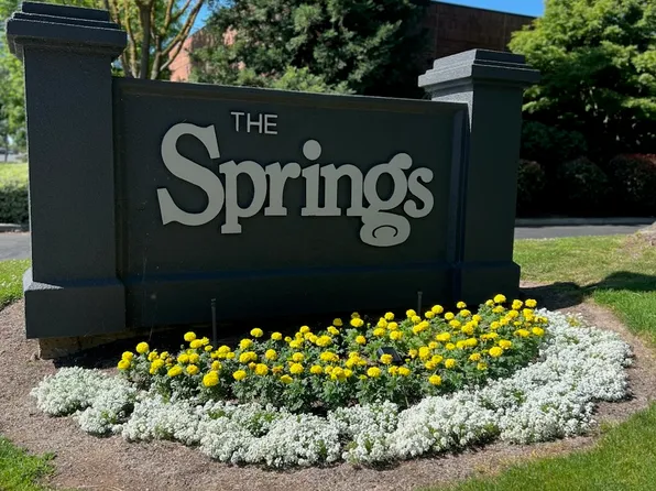 The Springs
