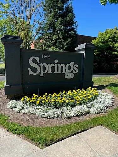 The Springs Photo 1