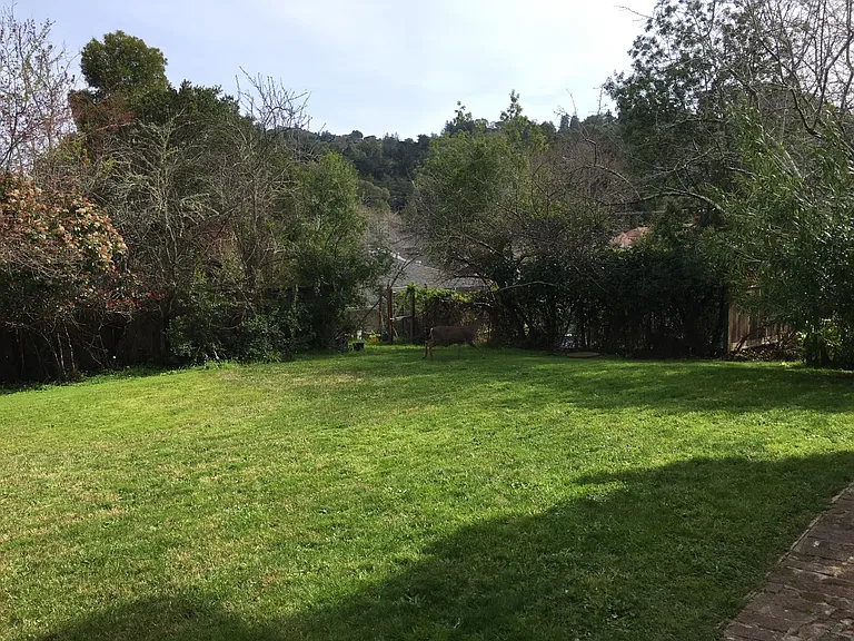 346 Corte Madera Ave #4 — Photo 23